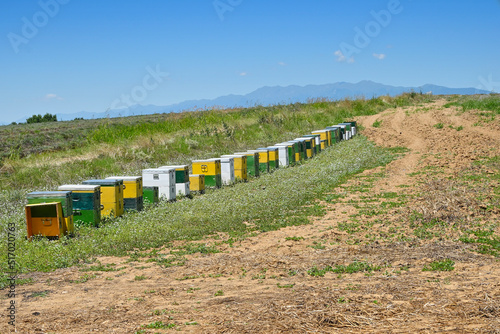 row of colorful beehives on hill