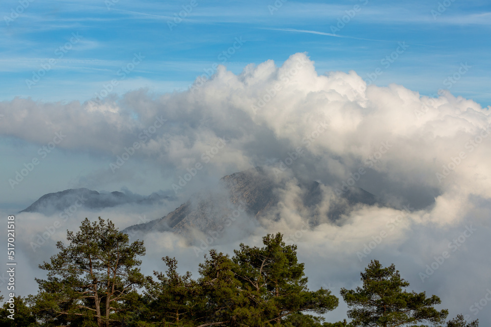 A cloudy mountain peak and pine trees