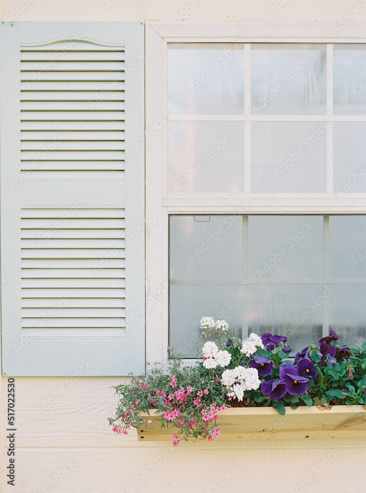 Light blue shutter on a shed with planter's box of colorful flowers