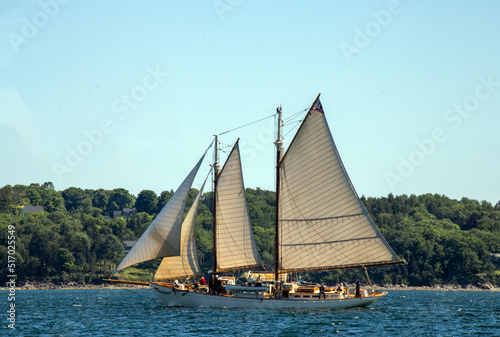 sailing boat on the sea photo
