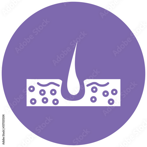 Skin Hair Icon Style