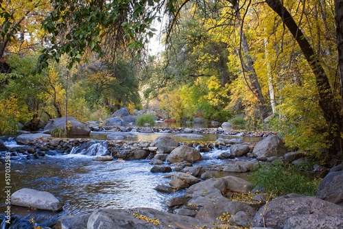 Oak Creek, Sedona, Arizona with yellow aspens on the bank.