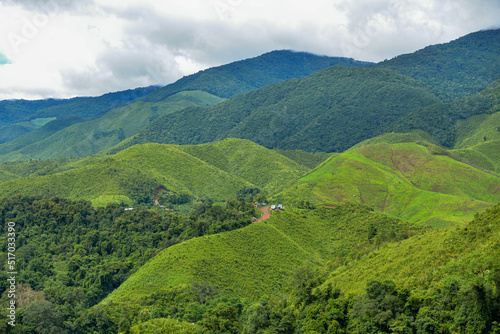 nature mountains and trees in the rainy season