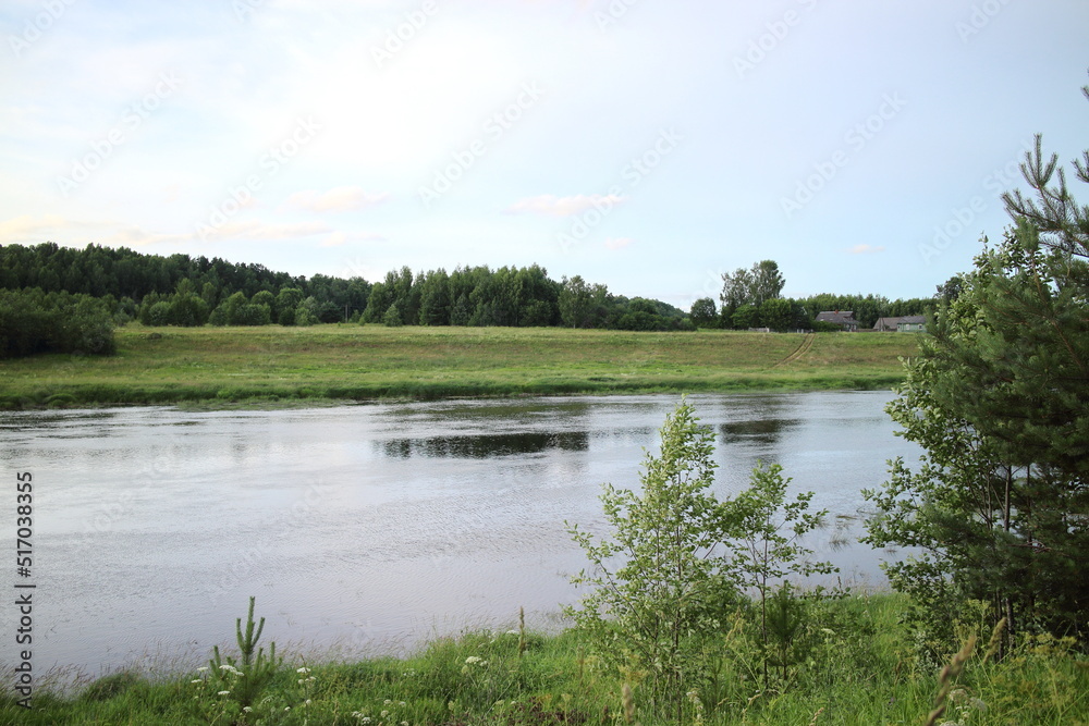 summer river in the countryside in the evening