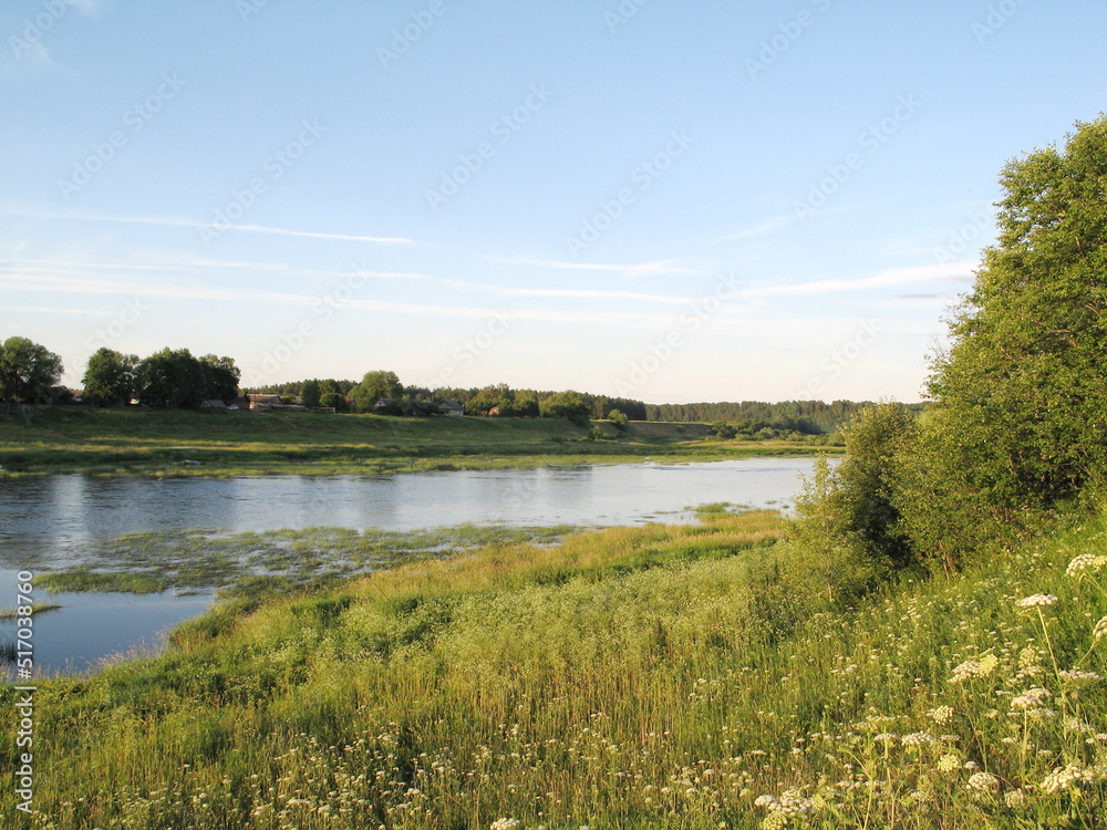 summer river in the countryside in the evening