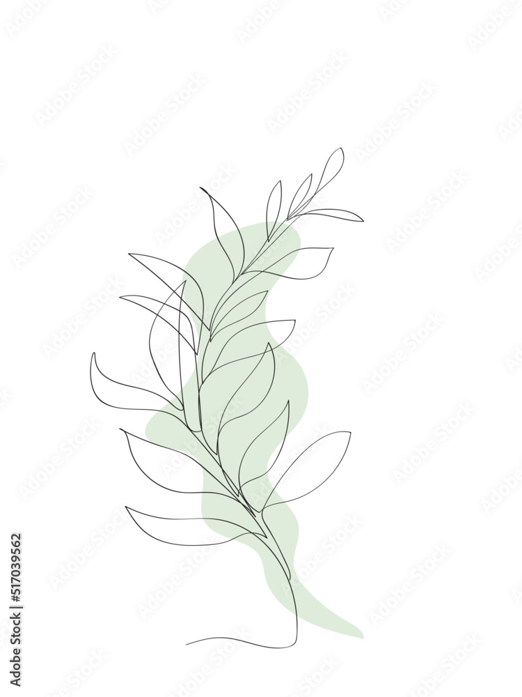 Eucalyptus leaves . Line Drawing Palm Leaves. Minimalist