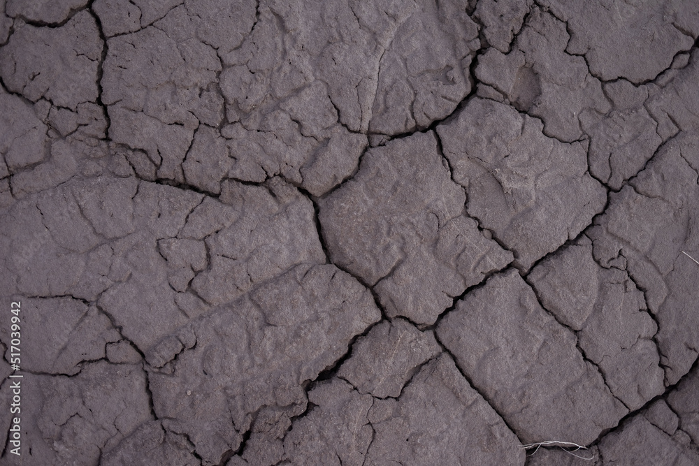 Dried brown desert sand. Abstract texture Dried brown desert sand. Abstract texture