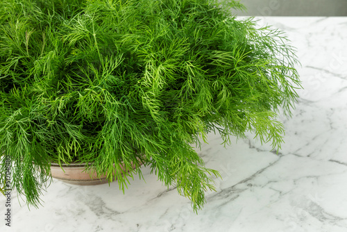 Fresh dill bunch in a bowl on marble table.