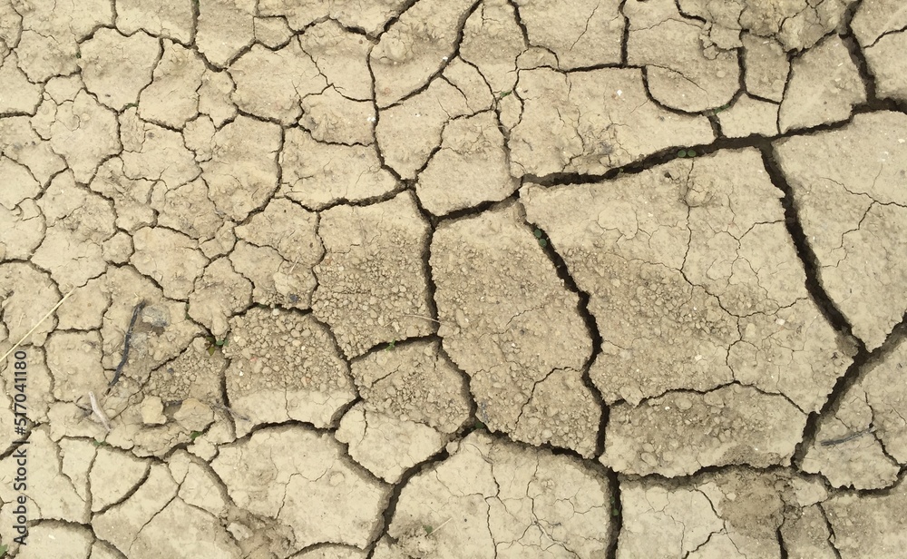 dry cracked earth dry cracked earth