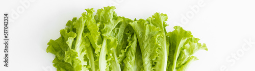 Fresh lettuce isolated on a white background,element of food healthy nutrients and herb vegetable ingredient concept