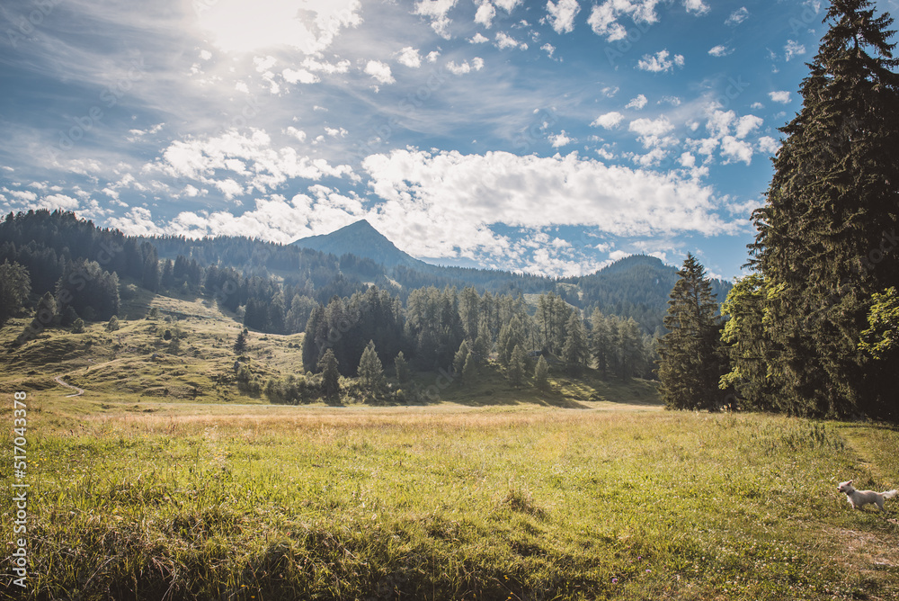 Obraz premium Landschaft