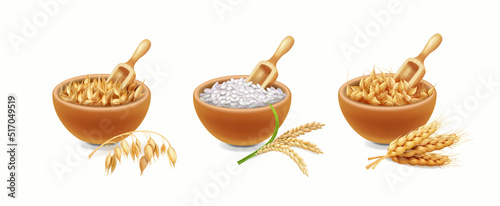 Set of different types of cereals in wooden bowls on a white background. Oat, rice, wheat, barley and realistic spikelets Vector
