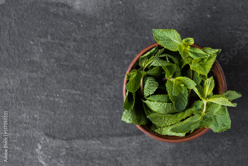 mint in a plate on a dark table