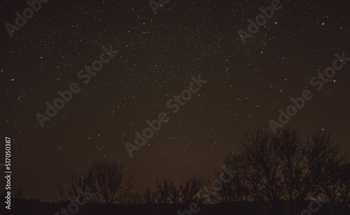 night starscape in the countryside