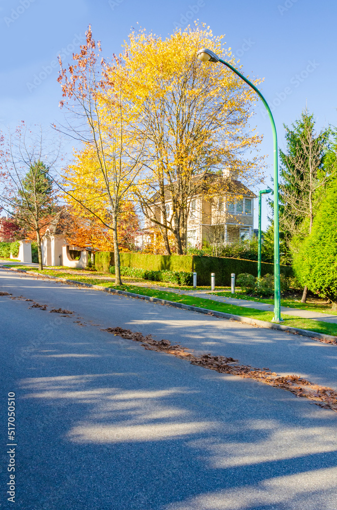 Neighbourhood of luxury houses with street road, big trees and nice landscape in Vancouver, Canada. Blue sky. Day time on September 2021.