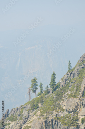 Pine trees - cliffs