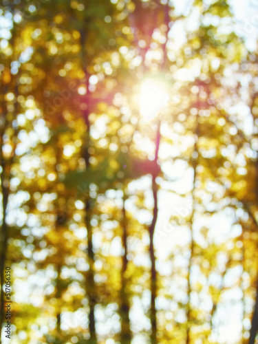Blurred background of autumn forest with nice bokeh. © Ryzhkov Oleksandr