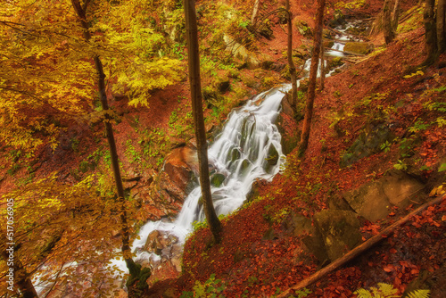 beautiful waterfall in forest photo