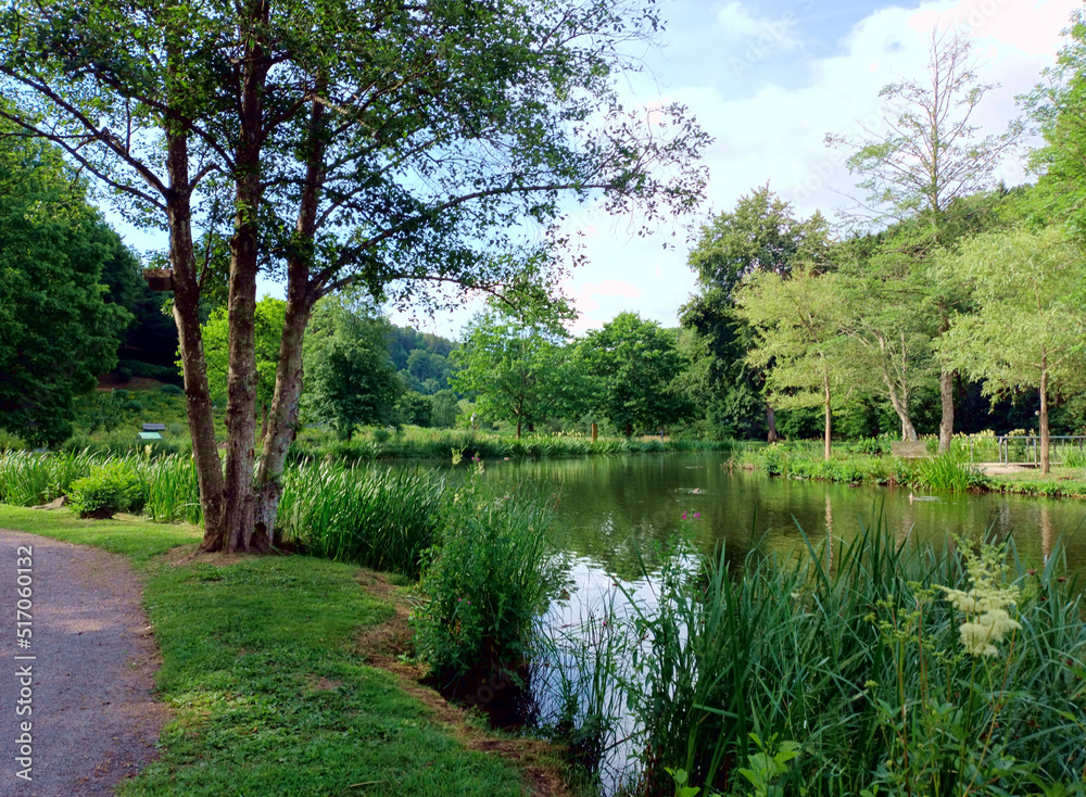 Romantischer Weiher im Kurpark Daun in der Eifel / Vulkaneifel, Rheinland-Pfalz. Romantischer Weiher im Kurpark Daun in der Eifel / Vulkaneifel, Rheinland-Pfalz.
