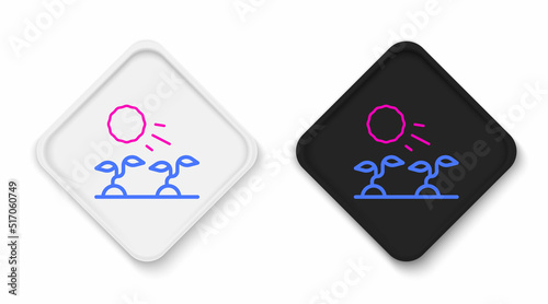 Line Plant sprouts grow in the sun icon isolated on white background. Seedling concept. Colorful outline concept. Vector