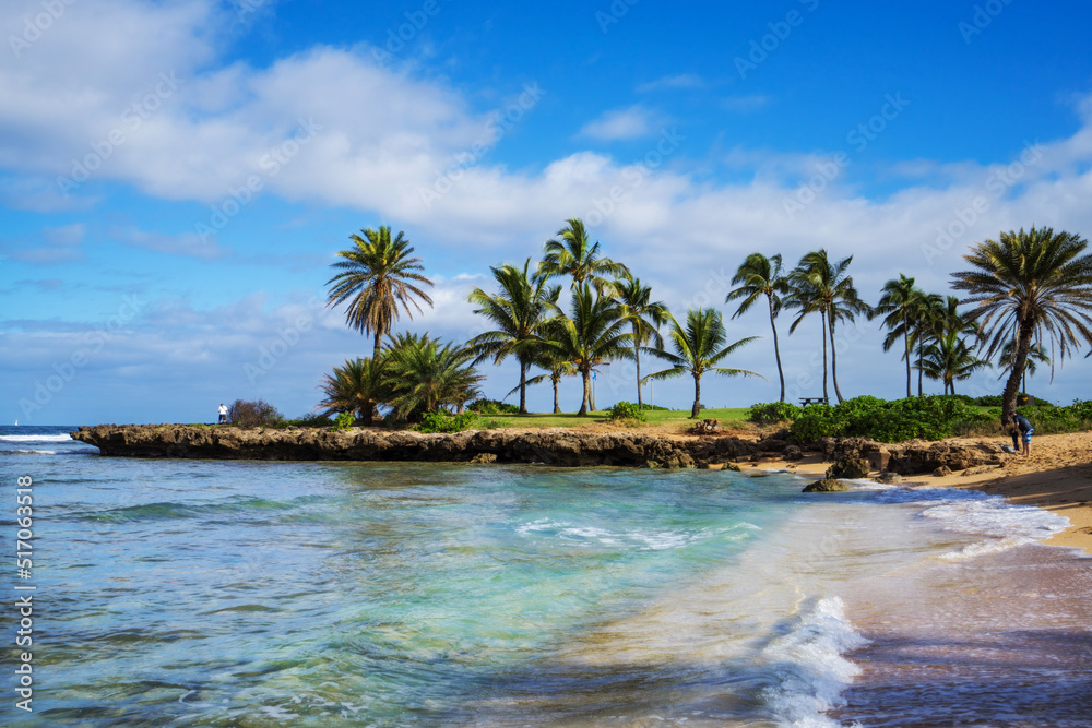 Obraz premium beach with palm trees