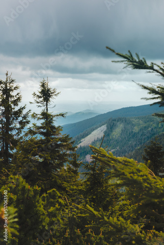 morning in the mountains