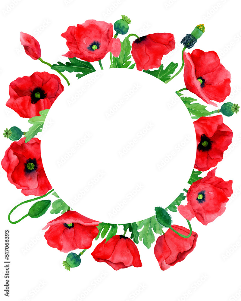 Watercolor hand drawn round frame of poppy flowers. Botany illustration of red poppies. Field flower. Border with herbs. Design elements for packaging, cover, decor, textile, cards, invitations.