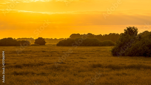 Orange sillhouette sunset over grassland river valley