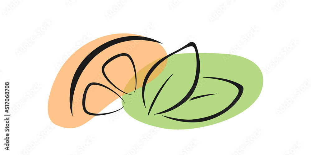 Slice of citrus and green herbs vector flat illustration. Black line drawing upon orange and green abstract shapes. Best for web, print, seamless patterns, logo and branding design. Slice of citrus and green herbs vector flat illustration. Black line drawing upon orange and green abstract shapes. Best for web, print, seamless patterns, logo and branding design.