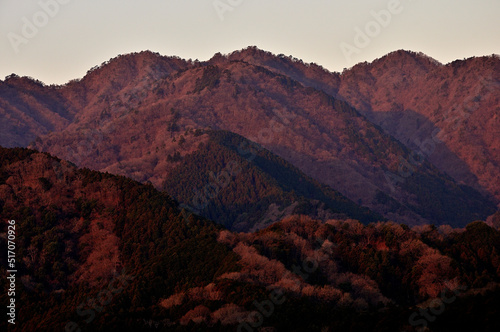 朝焼けの山体　丹沢の煤ヶ谷秋葉山より大山三峰山 丹沢　煤ヶ谷秋葉山より左から七沢山、大山三峰山、大山三峰山中峰、大山三峰山北峰  © Green Cap 55