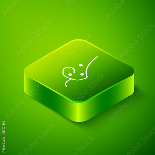 Isometric Acne icon isolated on green background. Inflamed pimple on the skin. The sebum in the clogged pore promotes the growth of a bacteria. Green square button. Vector