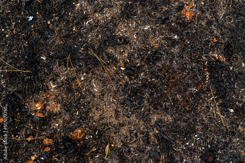 black burnt floor texture background. Stock Photo | Adobe Stock