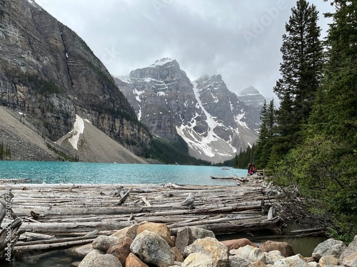 Logjam on Moraine Lake Banff national park Alberta Canada