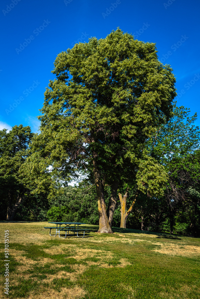 Nature trail course forest and meadow landscape at Tuthill Park in Sioux Falls, South Dakota