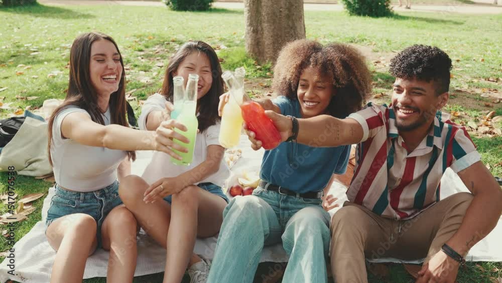 Happy, smiling multiethnic young people at picnic on summer day outdoors. Group of friends having fun with drinks, raising toasts while relaxing in the park at picnic Happy, smiling multiethnic young people at picnic on summer day outdoors. Group of friends having fun with drinks, raising toasts while relaxing in the park at picnic