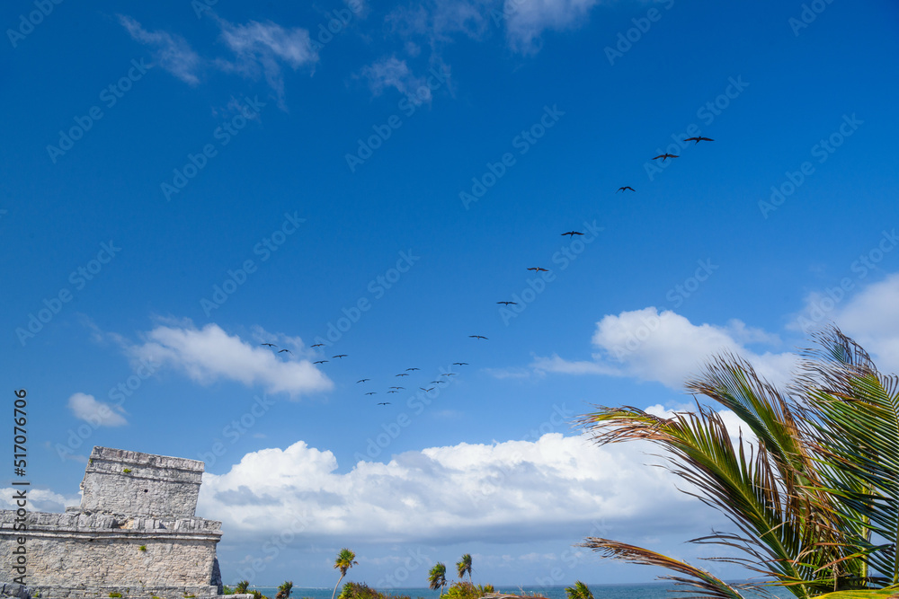 Flock of seagulls near Mayan Ruins in Tulum, Riviera Maya, Yucatan, Caribbean Sea, Mexico