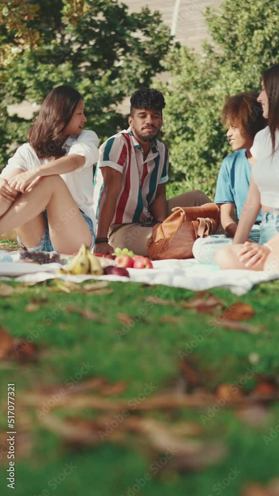 VERTICAL VIDEO: Happy smiling young multinational people at picnic on summer day outdoors. Guy arriving at picnic in the park, hugging, having fun spending the weekend together, relaxing VERTICAL VIDEO: Happy smiling young multinational people at picnic on summer day outdoors. Guy arriving at picnic in the park, hugging, having fun spending the weekend together, relaxing