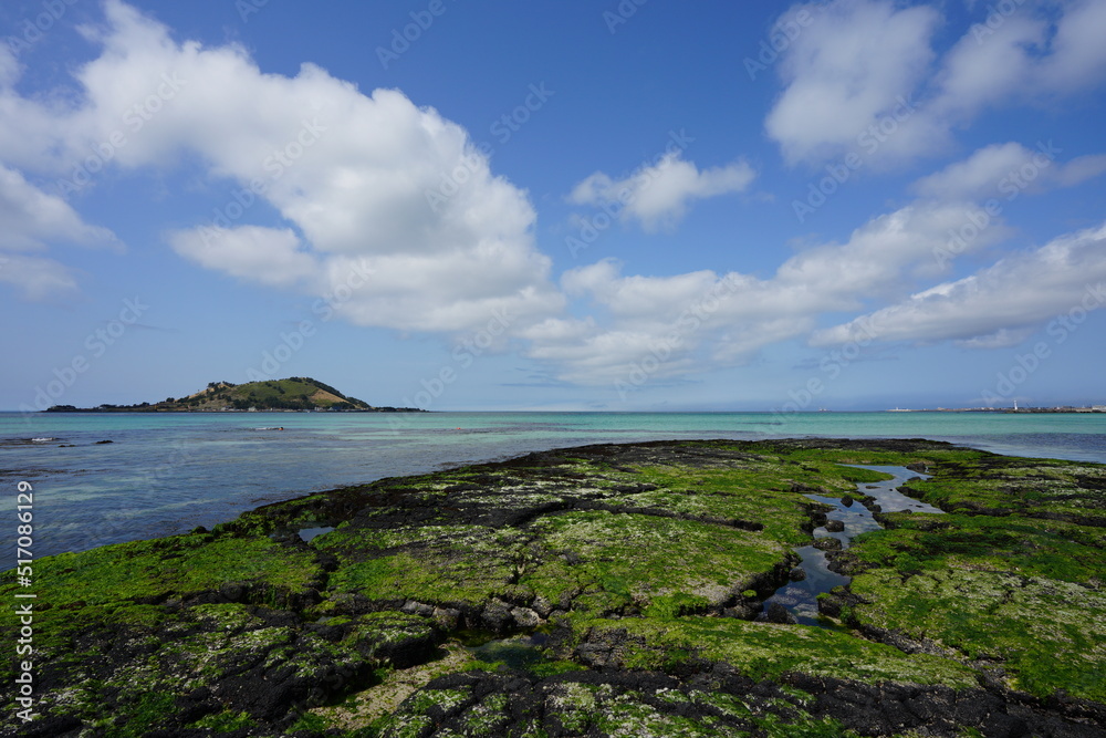 mossy rock beach and island