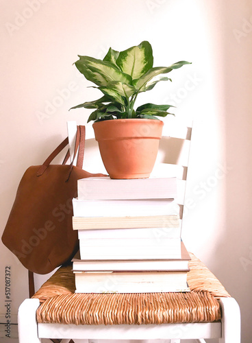 Plant & Books