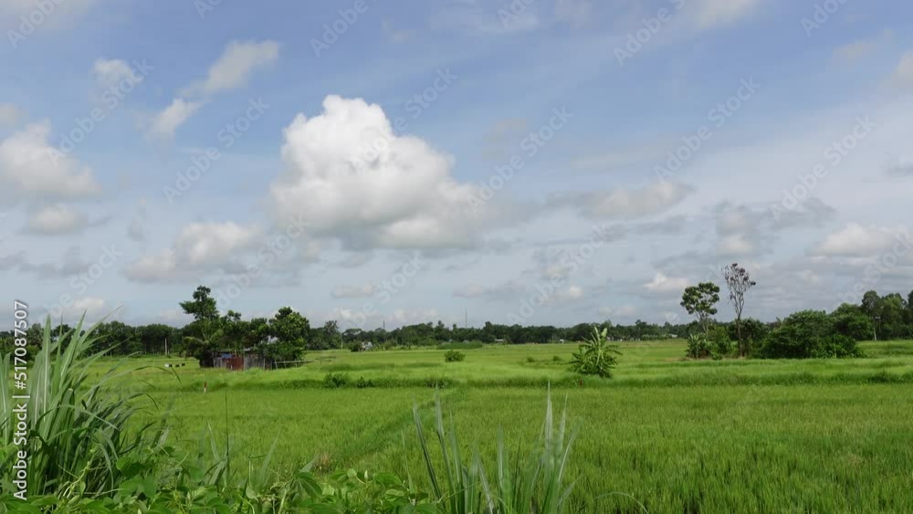 Green and blue natural and beautiful village landscape of Dhaka, Bangladesh. Summer blue sky and village view. 4k video. Green and blue natural and beautiful village landscape of Dhaka, Bangladesh. Summer blue sky and village view. 4k video.