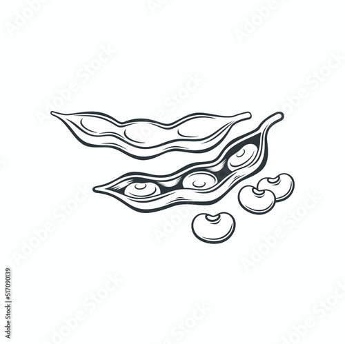 illustration of soya bean, vector art.