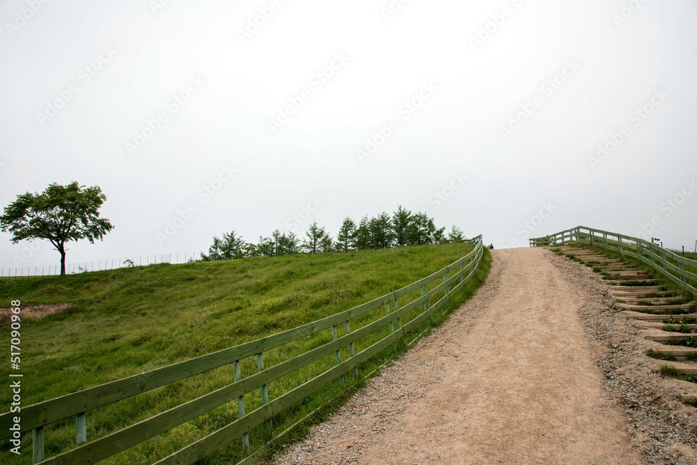 Obraz premium 대관령 양떼목장