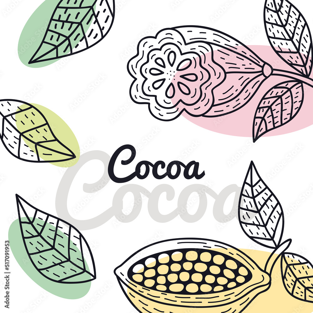 cocoa lettering frame cocoa lettering frame