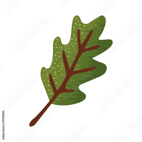 autumn green leaf