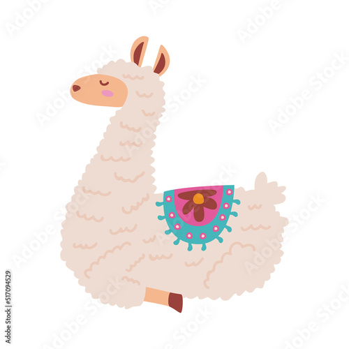 cute llama lying