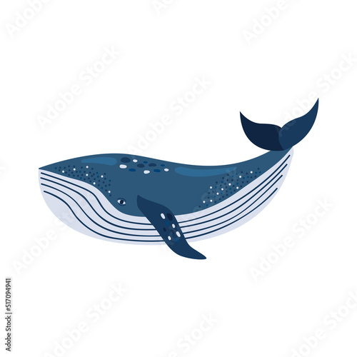 sei whale sealife