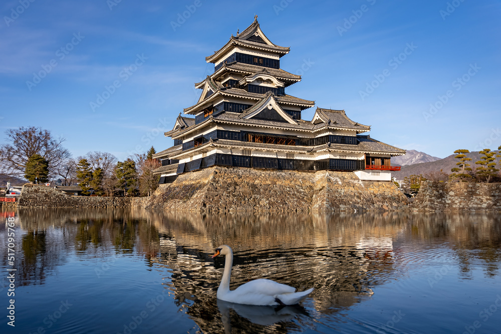 Matsumoto Castle in Japan, Swan Swimming past reflection on Moat Matsumoto Castle in Japan, Swan Swimming past reflection on Moat