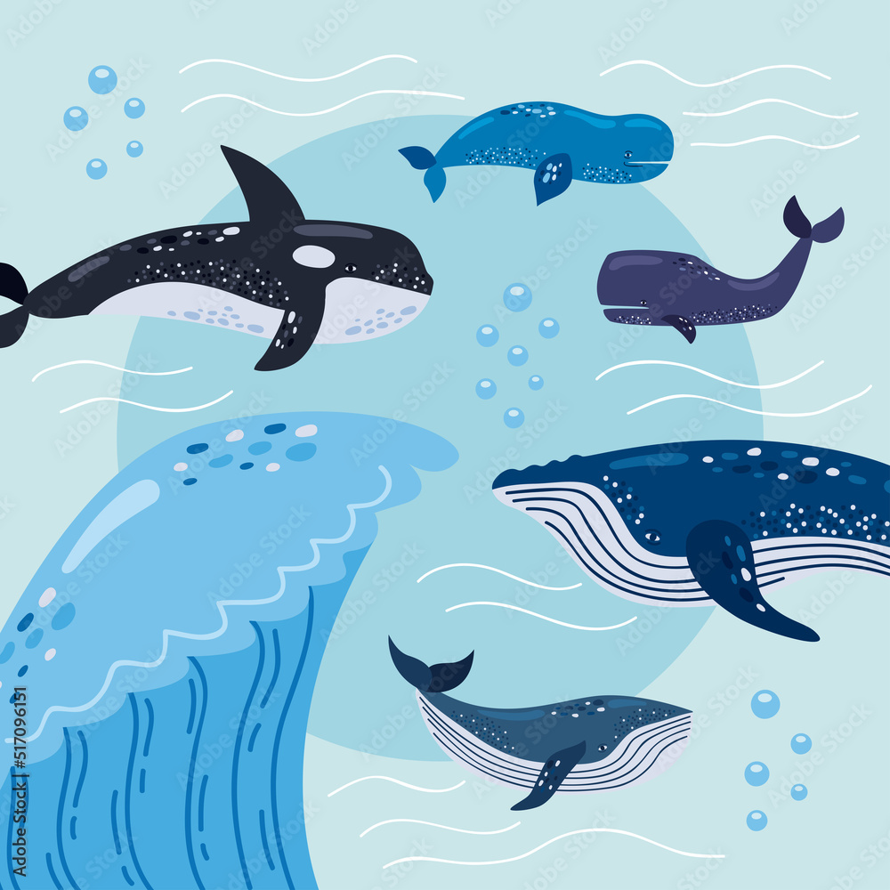 five whales and sea wave five whales and sea wave