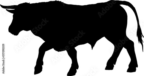 Isolated Bull Silhouette, Fighting Bull Silhouette in Vector