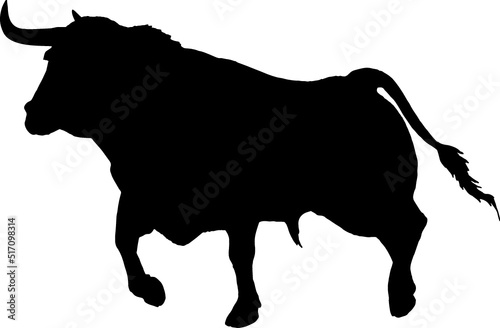 Isolated Bull Silhouette, Fighting Bull Silhouette in Vector